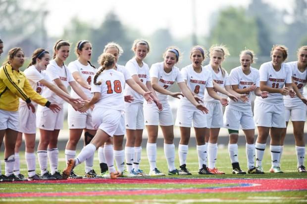 Softball takes the mound in MLive's weekly polls