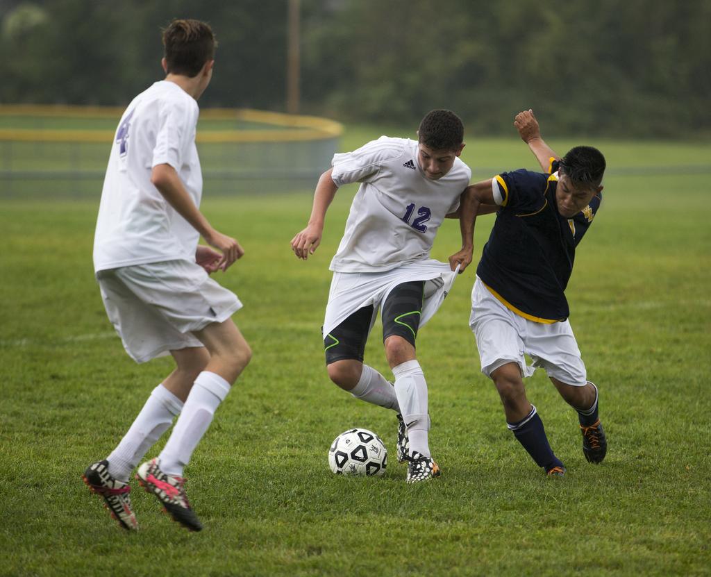 Swan Valley 3, OvidElsie 0 Stingy defense carries Vikings to Division