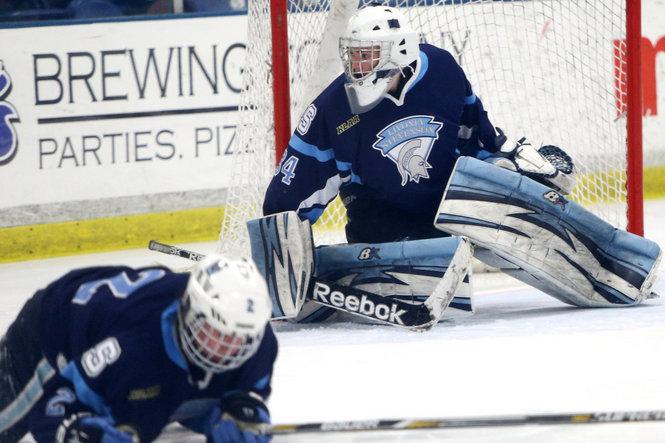 Vote for the MLive Detroit area hockey goalie you want in your net
