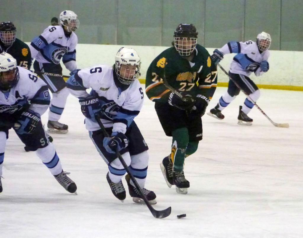 MIHL Prep Hockey Showcase will bring 42 top hockey teams to Trenton in February