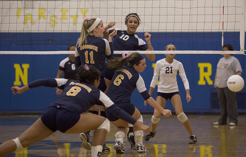 Mt. Morris needs five games to dispatch of Goodrich in district volleyball final