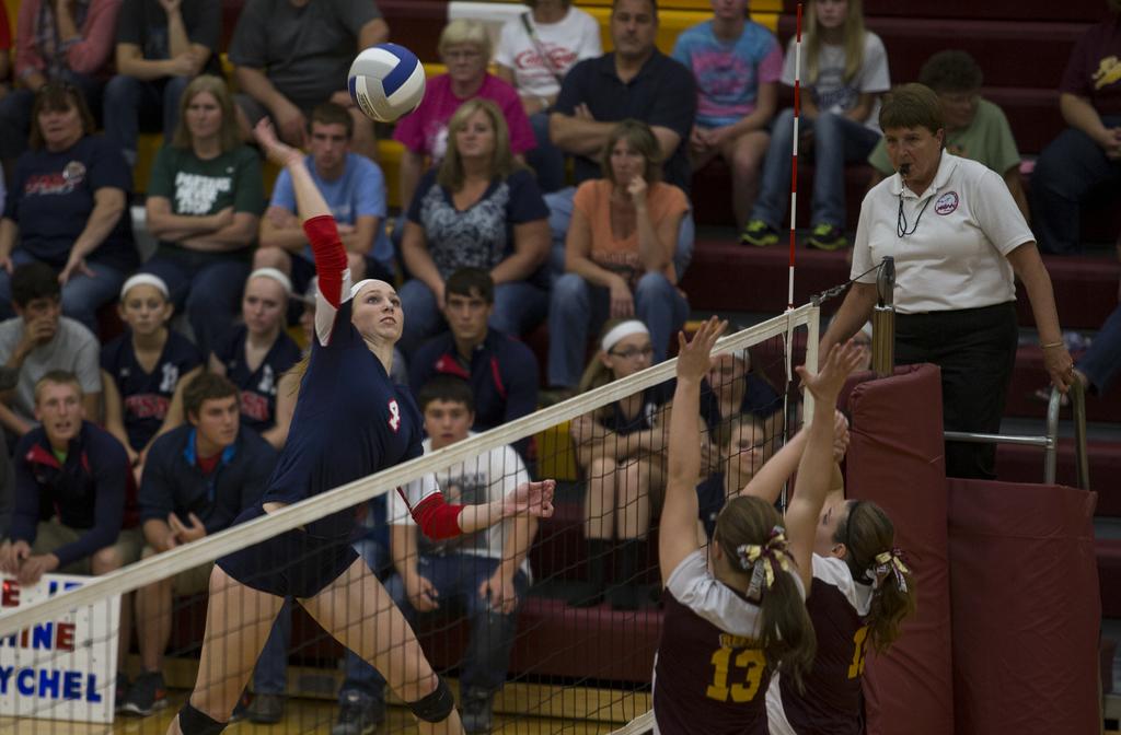 2014 Michigan Interscholastic Volleyball Coaches Association Class C AllState Teams