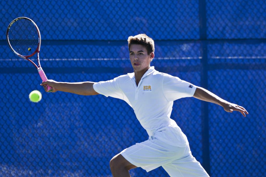 Final boys high school tennis rankings in Michigan