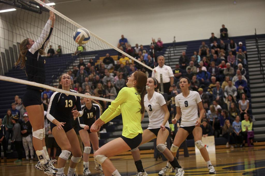 Mattawan's Taylor Wiese named 2015 MLive Kalamazoo volleyball Player of