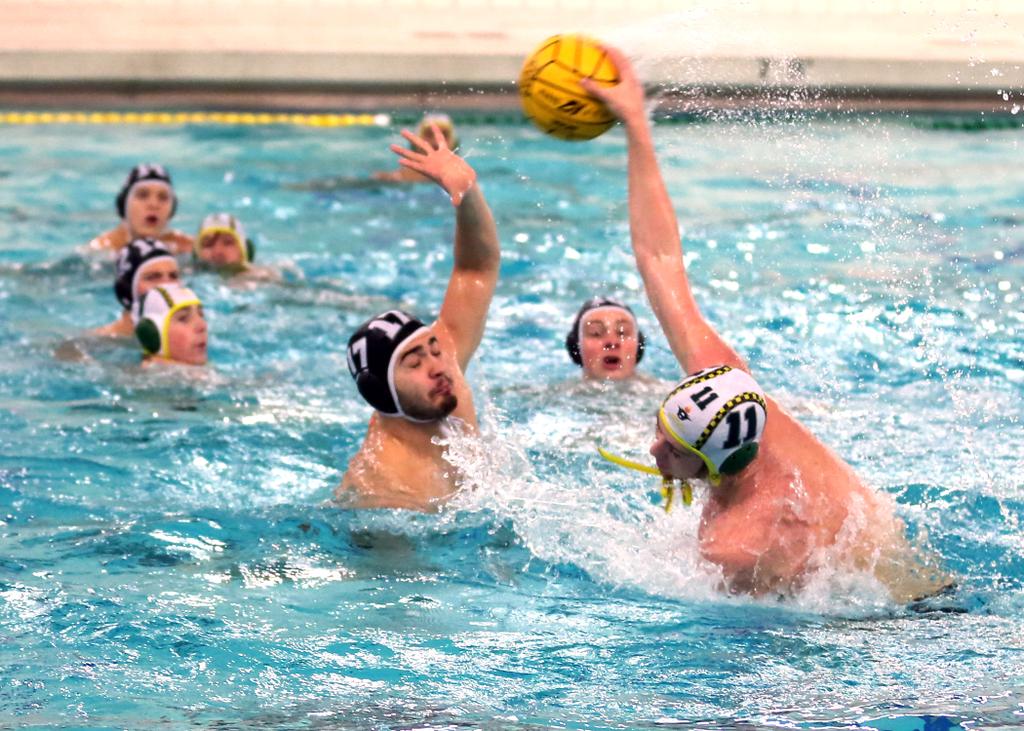 Huron senior Holden Tamblyn is The Ann Arbor News 2014 boys water polo