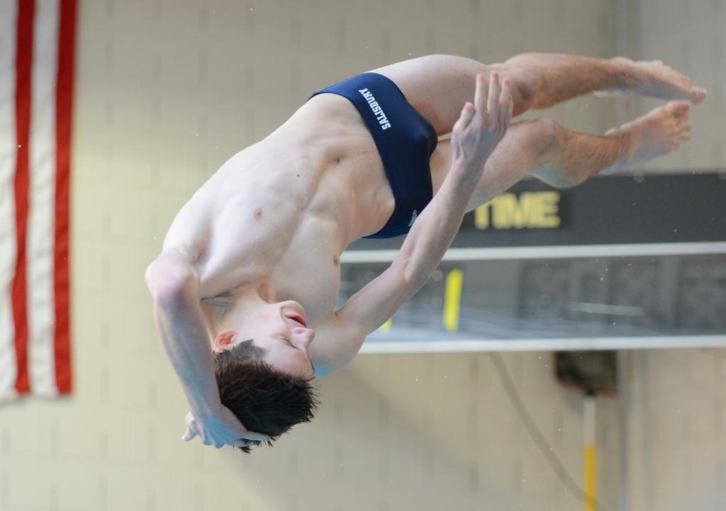 District 11 Class Aaa Aa Boys Diving Championship Results