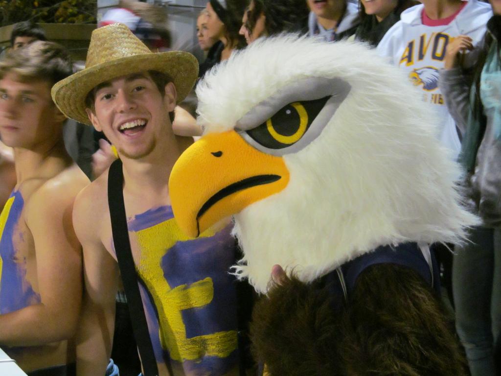 Contest to decide best high school mascot starts soon; email your