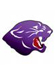 Chesapeake Panthers