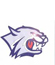 Blanchester Wildcats