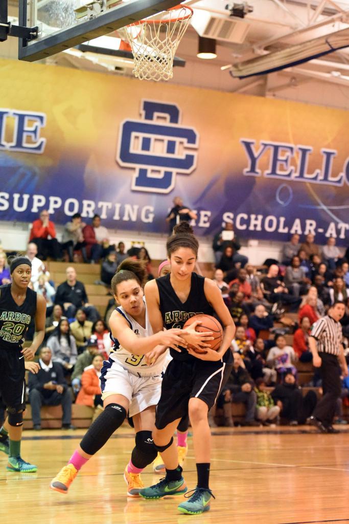 Detroit Country Day girls prevail over Flint Hamady in battle of powerhouse teams