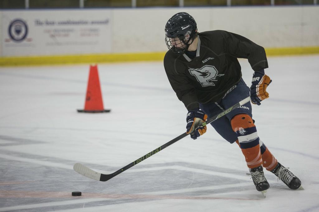 Week 2 Michigan high school hockey rankings (ending Nov. 29)