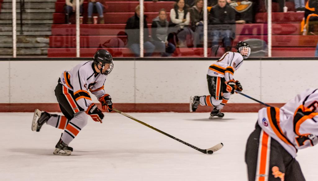 Rockford Rams defeat Davison on the ice