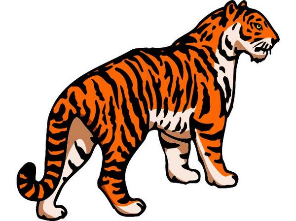 tiger volleyball clipart - photo #32