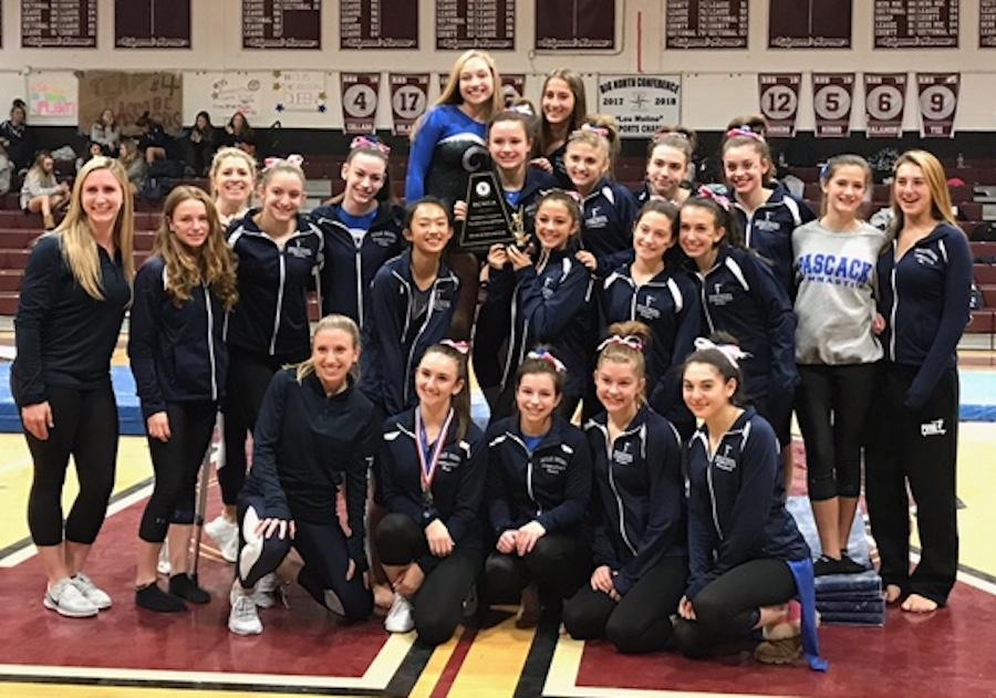 New Jersey High School Girls Gymnastics