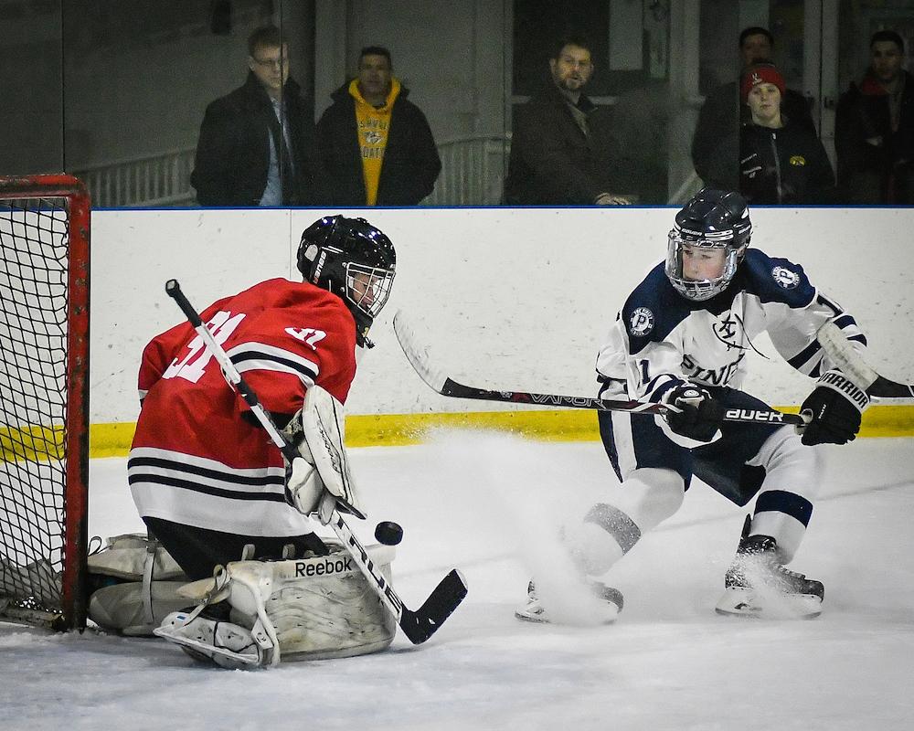 Ice hockey group, conference rankings for Dec. 6