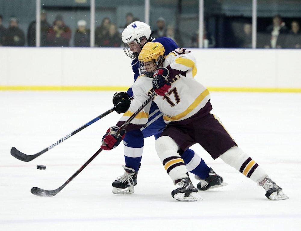 25 players to watch in each ice hockey state tournament bracket