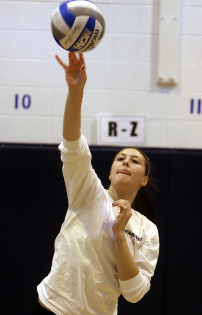 Emily Burke, self-made volleyball player, has Susan Wagner Falcons ...